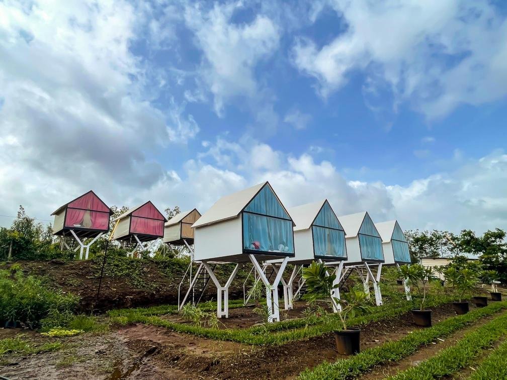 Premium Pawna Lake Cottages